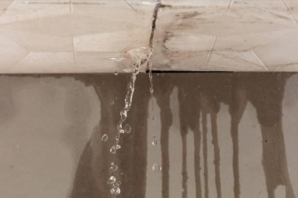 Professional Structural Drying technician working in Lewisville, OH